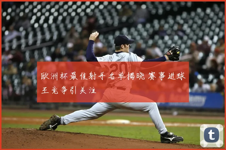 欧洲杯最佳射手名单揭晓 赛事进球王竞争引关注