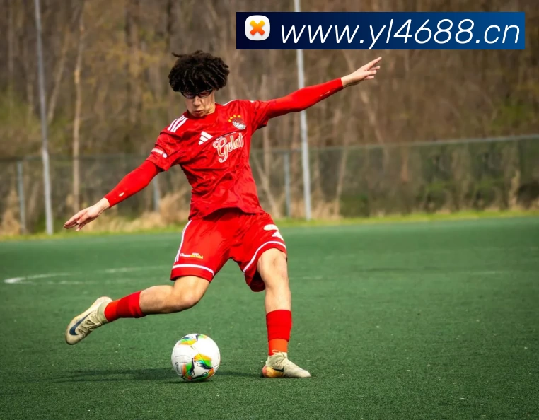 多媒体互动体验